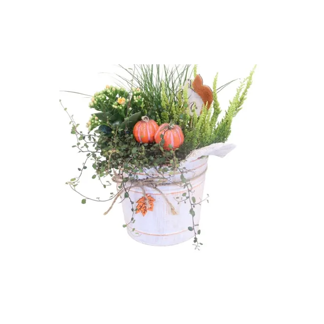 Autumn planting of heather